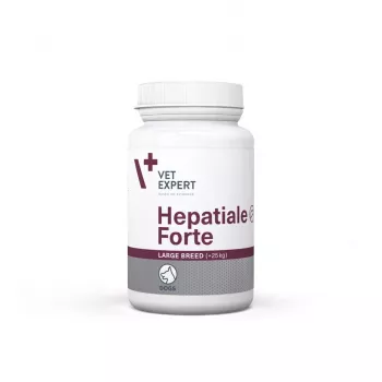VetExpert Hepatiale Forte Large Breed 40 tablets.