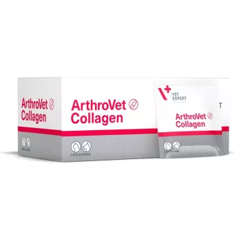 VETEXPERT ArthroVet Collagen - supplements for dogs and cats - 60 sachets