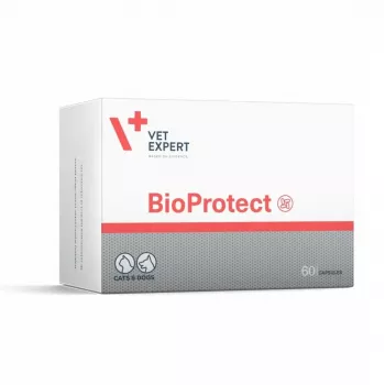 VETEXPERT Bioprotect - supplements for dogs and cats - 60 tablets