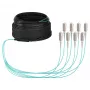 EFB Trunk Cable U-DQ(ZN)BH OM3 8G (1x8) SC-SC 20m Dca LSZH
