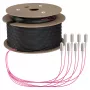 EFB Trunk Cable U-DQ(ZN)BH OM4 8G (1x8) SC-SC 70m Dca LSZH