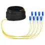 EFB Trunk Cable U-DQ(ZN)BH OS2 8E (1x8) SC-SC 20m Dca LSZH G657A1