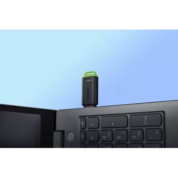 Kingston Technology DataTraveler 256GB Portable USB 3.2 Gen 1 Exodia Black/Green