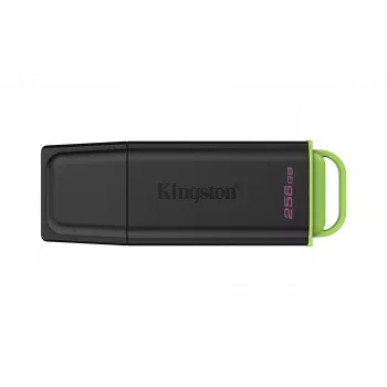 Kingston Technology DataTraveler 256GB Portable USB 3.2 Gen 1 Exodia Black/Green