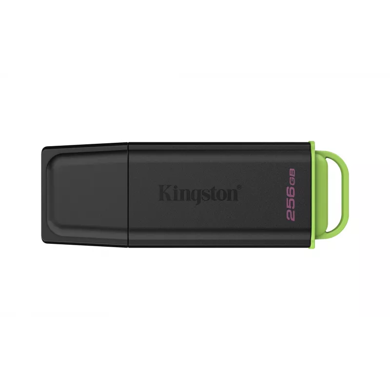 Kingston Technology DataTraveler 256GB Portable USB 3.2 Gen 1 Exodia Black/Green