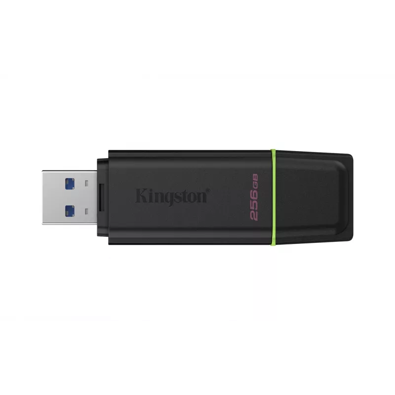 Kingston Technology DataTraveler 256GB Portable USB 3.2 Gen 1 Exodia Black/Green