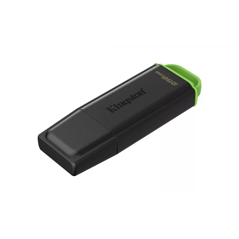 Kingston Technology DataTraveler 256GB Portable USB 3.2 Gen 1 Exodia Black/Green