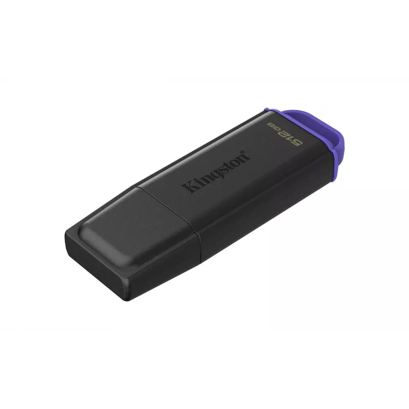 Kingston Technology DataTraveler 512GB Portable USB 3.2 Gen 1 Exodia Black/Purple
