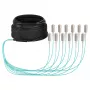 EFB Trunk Cable U-DQ(ZN)BH OM3 12G (1x12) SC-SC 40m Dca LSZH
