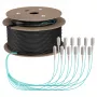 EFB Trunk Cable U-DQ(ZN)BH OM3 12G (1x12) SC-SC 80m Dca LSZH
