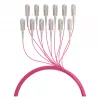 EFB Trunk Cable U-DQ(ZN)BH OM4 12G (1x12) SC-SC 170m Dca LSZH