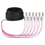 EFB Trunk Cable U-DQ(ZN)BH OM4 12G (1x12) SC-SC 30m Dca LSZH