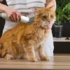 LX-052 Pet Grooming Kit