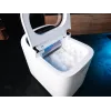 Ice generator VL1520
