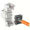 Modular RJ-45 Input Module EFB Elektronik ECOLAN E-20080, white