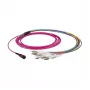 Fiber patch cable MTP-F/LC 12-fiber OM5 LSZH lime green, 7.5 m — EFB Elektronik