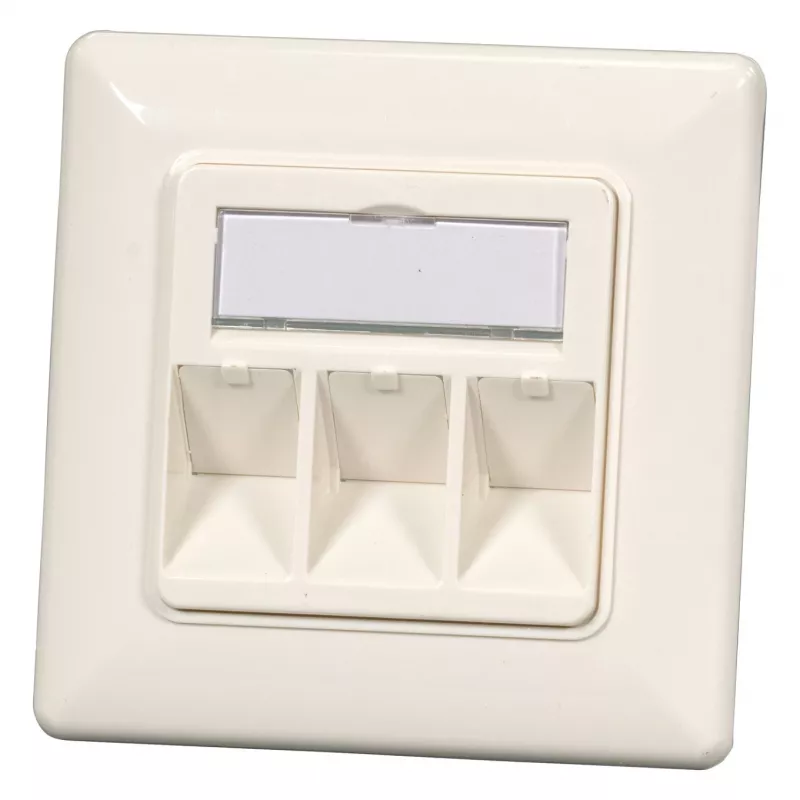 EFB Elektronik 2‑Port Keystone Frame Set ET-25091 — straight DIN49075 outlet, RAL9003 white, 80×80 mm frame with 50×50 mm central plate