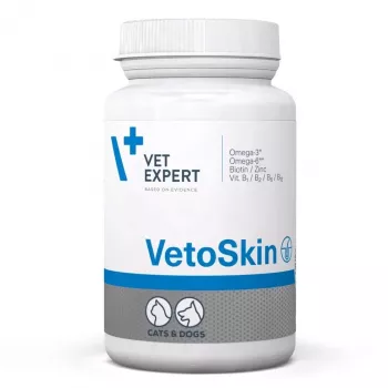 VetExpert VetoSkin 90 capsules.