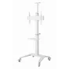 TV Set Accessory Floor Stand 37-70/WHITE TVS-70T-02-W Gembird