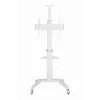 TV Set Accessory Floor Stand 37-70/WHITE TVS-70T-02-W Gembird
