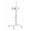 TV Set Accessory Floor Stand 37-70/WHITE TVS-70T-02-W Gembird