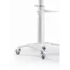 TV Set Accessory Floor Stand 37-70/WHITE TVS-70T-02-W Gembird