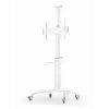TV Set Accessory Floor Stand 37-70/WHITE TVS-70T-02-W Gembird