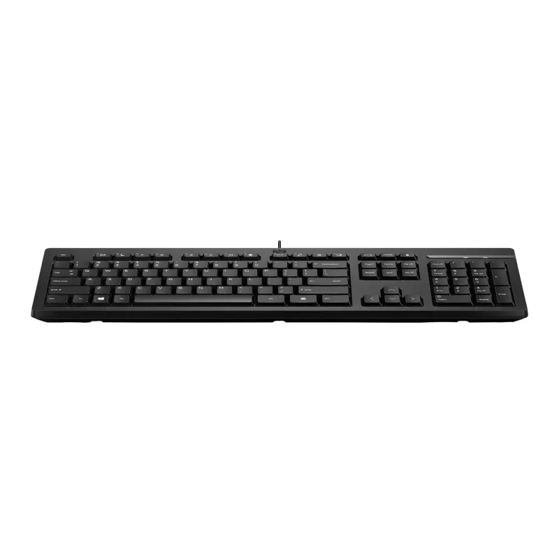 Wired keyboard HP 125 by HP, model AY2Y7AA — basic wired layout, USB connection