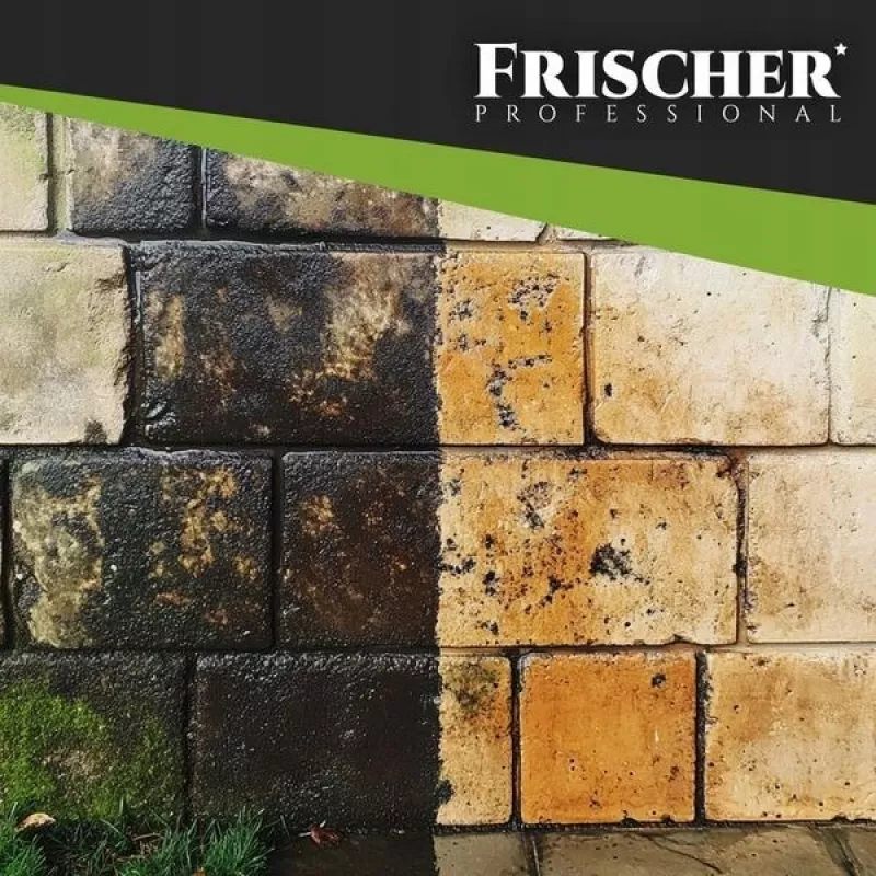 Frischer facade cleaner 1l