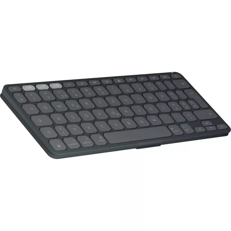 Logitech Keys-To-Go 2 for iPad - Keyboard - built-in cover - Wireless - Bluetooth LE - QWERTZ - Swiss - Graphite (920-013008)