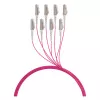 EFB Trunk Cable U-DQ(ZN)BH OM4 8G (1x8) LC-LC 120m Dca LSZH