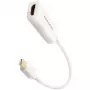 AXAGON RVDM-HI14NW - 0,15 m - Mini DisplayPort - HDMI - Male - Female - straight
