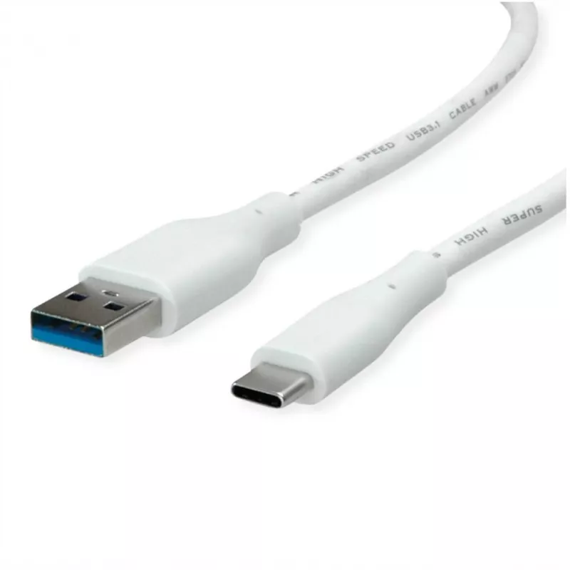 ROTRONIC-SECOMP VALUE - USB Cable - USB Type A (M) to USB-C (M)