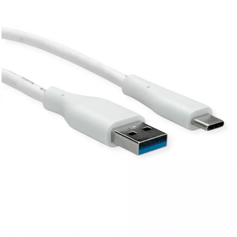 ROTRONIC-SECOMP VALUE - USB Cable - USB Type A (M) to USB-C (M)