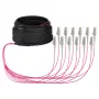 EFB Trunk Cable U-DQ(ZN)BH OM4 12G (1x12) LC-LC 10m Dca LSZH