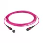 EFB MTP(F)-MTP(F) Patch Cable OM4 12 Fibres Type B LSZH heather violet 0,5m