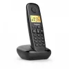 Cordless phone Basic 100