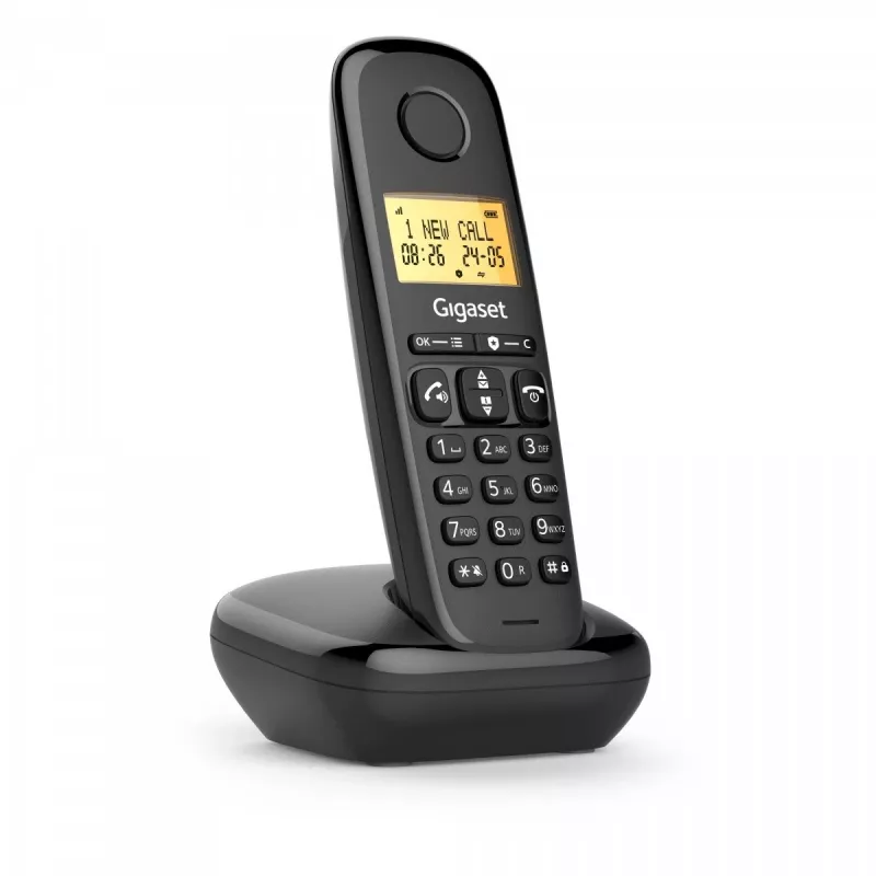 Cordless phone Basic 100