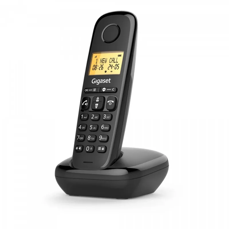 Cordless phone Basic 100