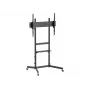 Equip 55 inch-100 inch Economy TV Trolley, 2.54 m (100 inch), 100 x 100 mm, 800 x 600 mm, -10 - 5°, Plastic, Stainless steel, Black