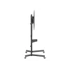 Equip 55 inch-100 inch Economy TV Trolley, 2.54 m (100 inch), 100 x 100 mm, 800 x 600 mm, -10 - 5°, Plastic, Stainless steel, Black