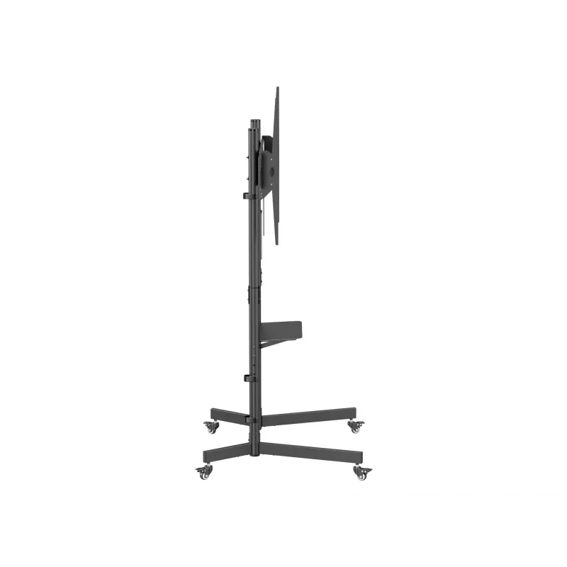 Equip 55 inch-100 inch Economy TV Trolley, 2.54 m (100 inch), 100 x 100 mm, 800 x 600 mm, -10 - 5°, Plastic, Stainless steel, Black