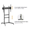 Equip 55 inch-100 inch Economy TV Trolley, 2.54 m (100 inch), 100 x 100 mm, 800 x 600 mm, -10 - 5°, Plastic, Stainless steel, Black