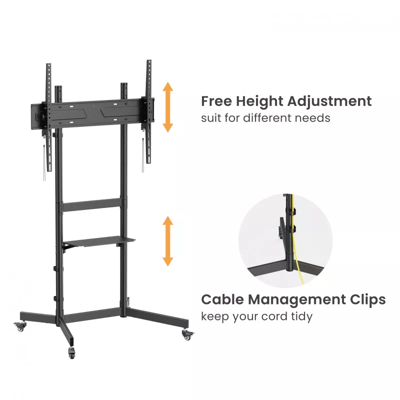 Equip 55 inch-100 inch Economy TV Trolley, 2.54 m (100 inch), 100 x 100 mm, 800 x 600 mm, -10 - 5°, Plastic, Stainless steel, Black