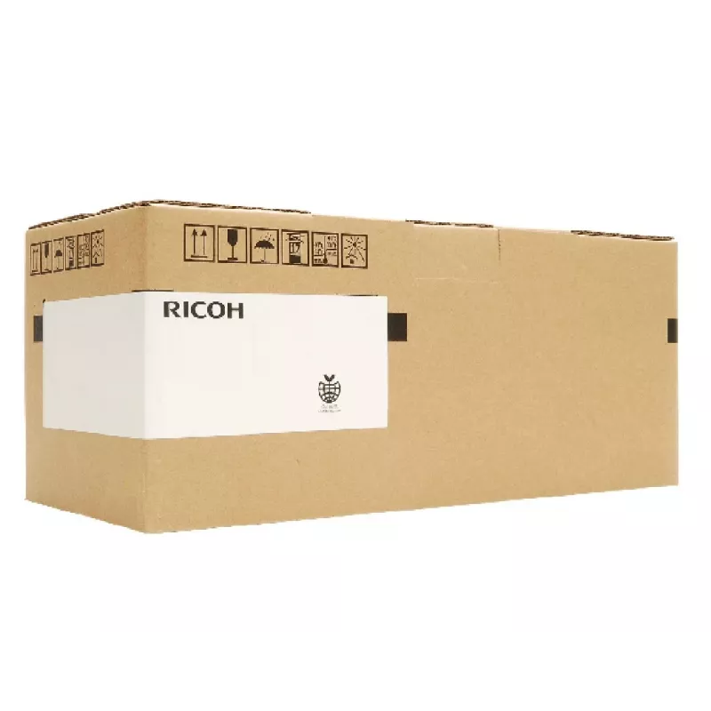 Ricoh D1773021 developer unit 120000 pages