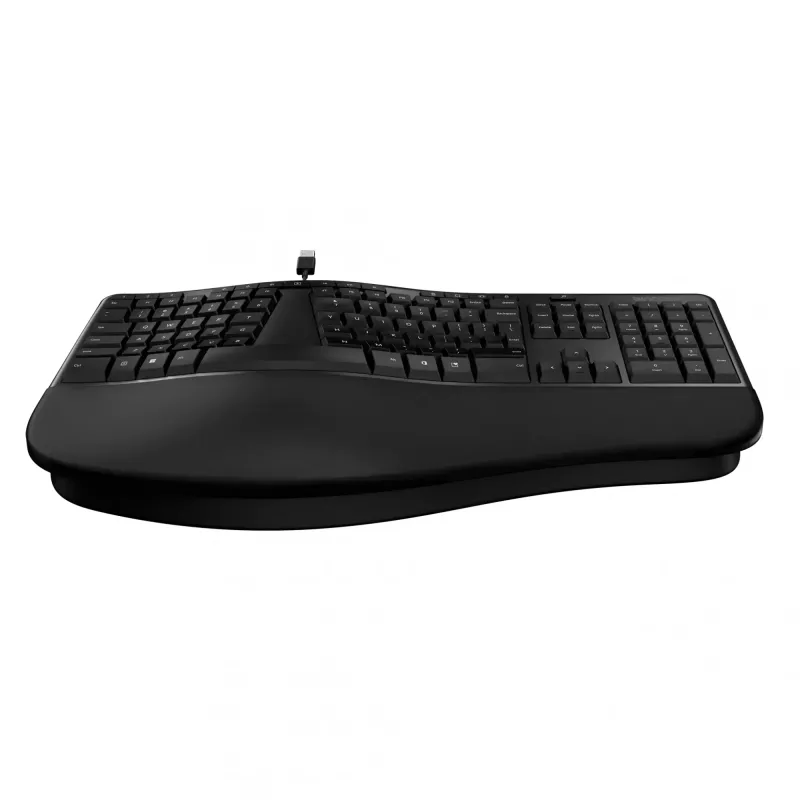 Incase Designed by Microsoft Ergonomic keyboard Office USB QWERTY English Black
