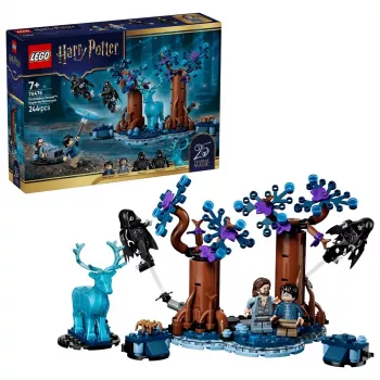 LEGO Harry Potter 76475 Forbidden Forest: Expecto Patronum (244 pcs)
