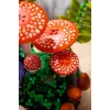 LEGO Botanicals 11505 Woodland Mushrooms (806 pcs)