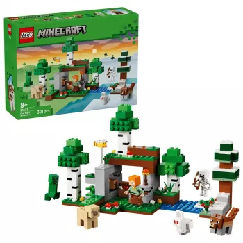 LEGO Minecraft 21593 First Night Adventure (301 pcs)