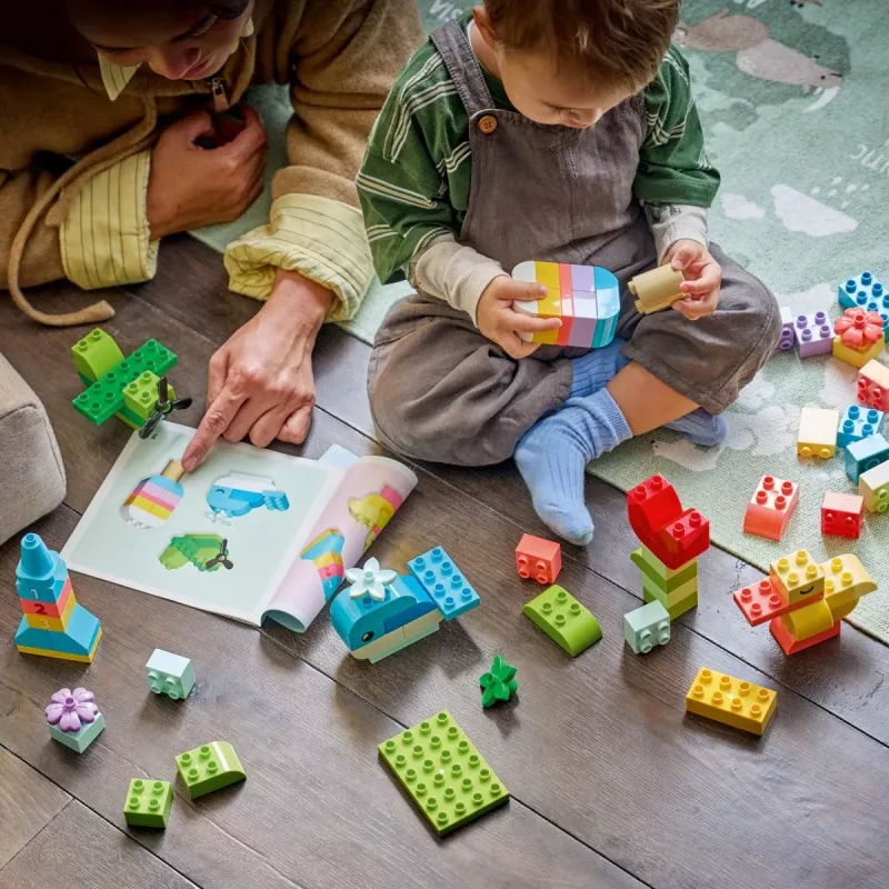 LEGO DUPLO 10479 Colourful Creative Box (80 pcs)